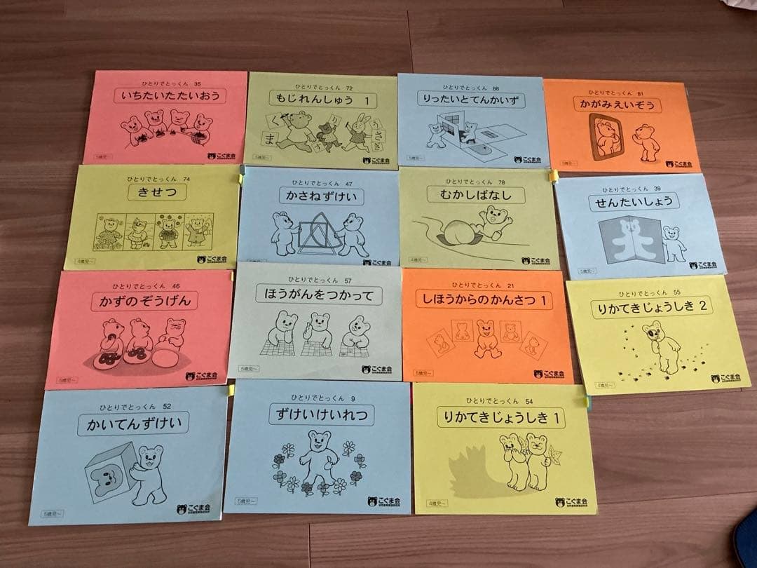 私立・ 国立小学校受験資料 まとめ売り理英会 こぐま会など