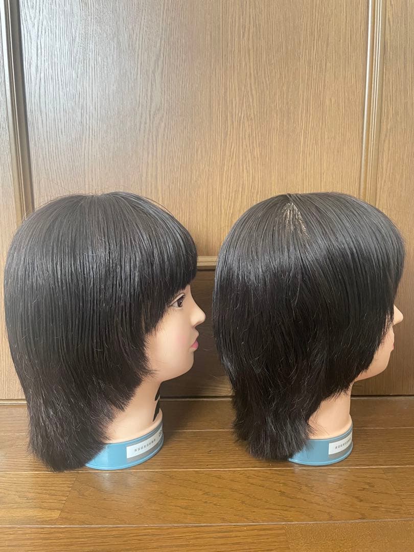 理容師 美容師 国家試験カットウィッグ カット済みウィッグ 2体 - メルカリ