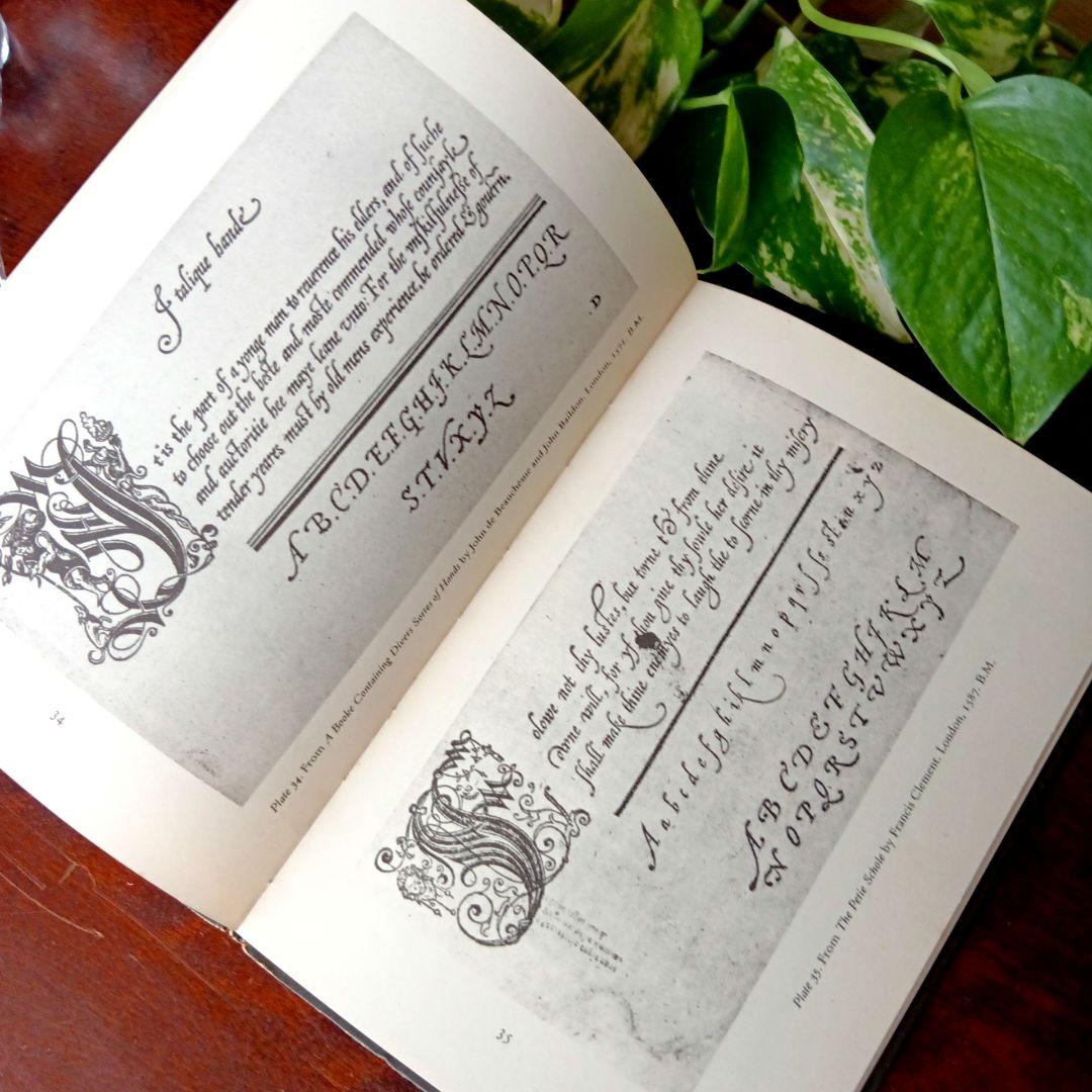 洋書古書1950年 ペンギン文庫 カリグラフィー美しい筆記体