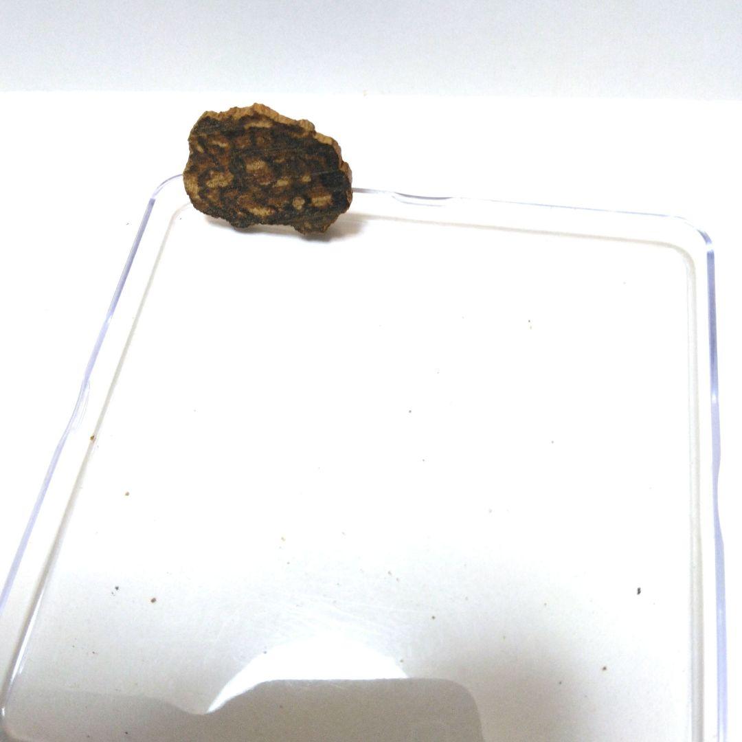 紅土沈香 最高級B　1.52g