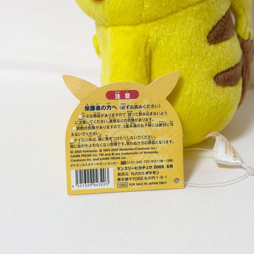 マンスリーピカチュウ 2005年6月ポケモンセンター限定 ポワルン