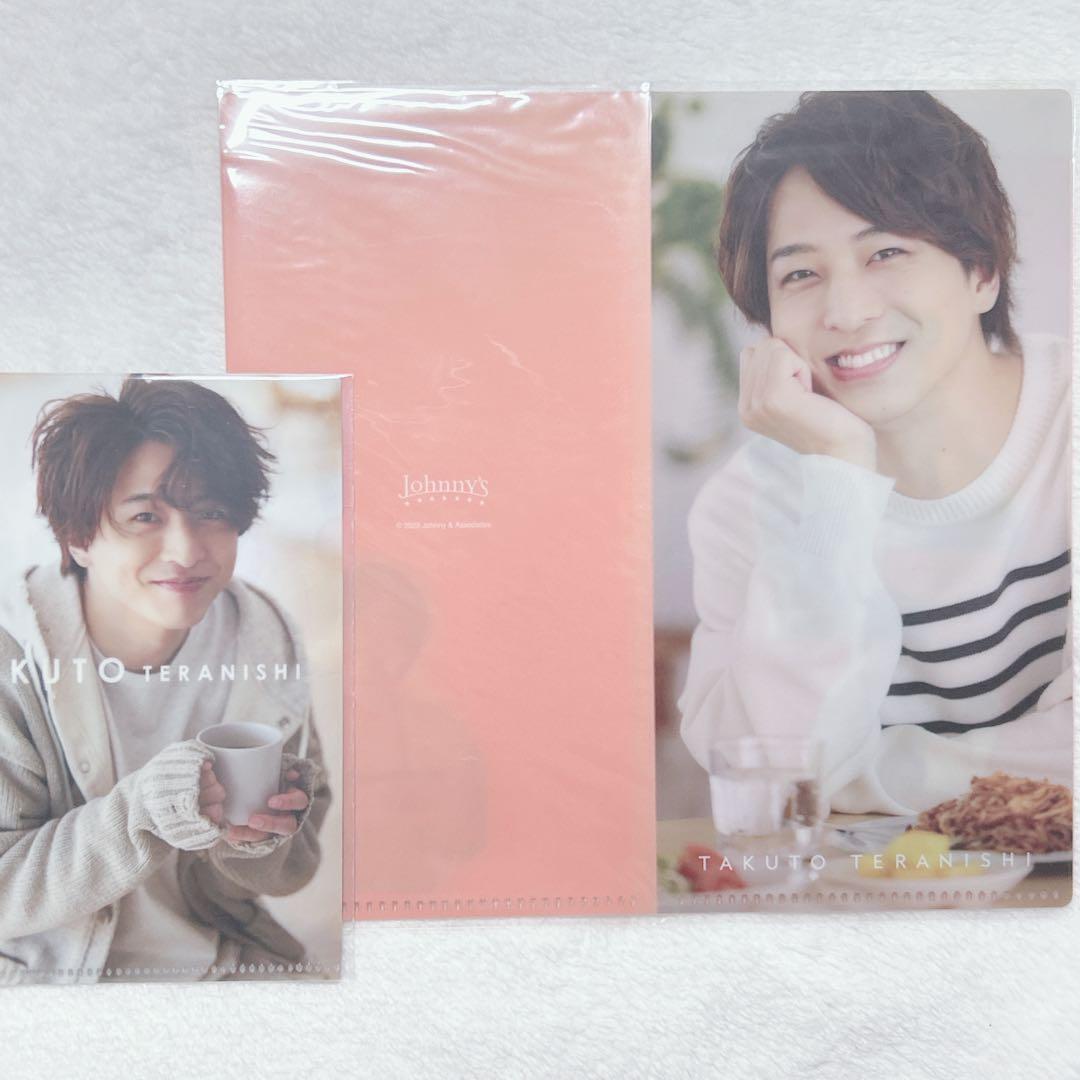 timelesz 寺西拓人 ポートレート チケットファイル ミニクリアファイル