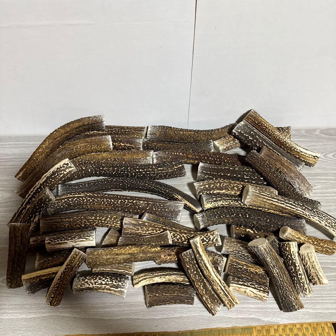 鹿の角　端材Ｂ　ハンドメイド用 Amazon.co.jp: 鹿の角 エゾシカ 角 先端詰合わせ 1kg 端材