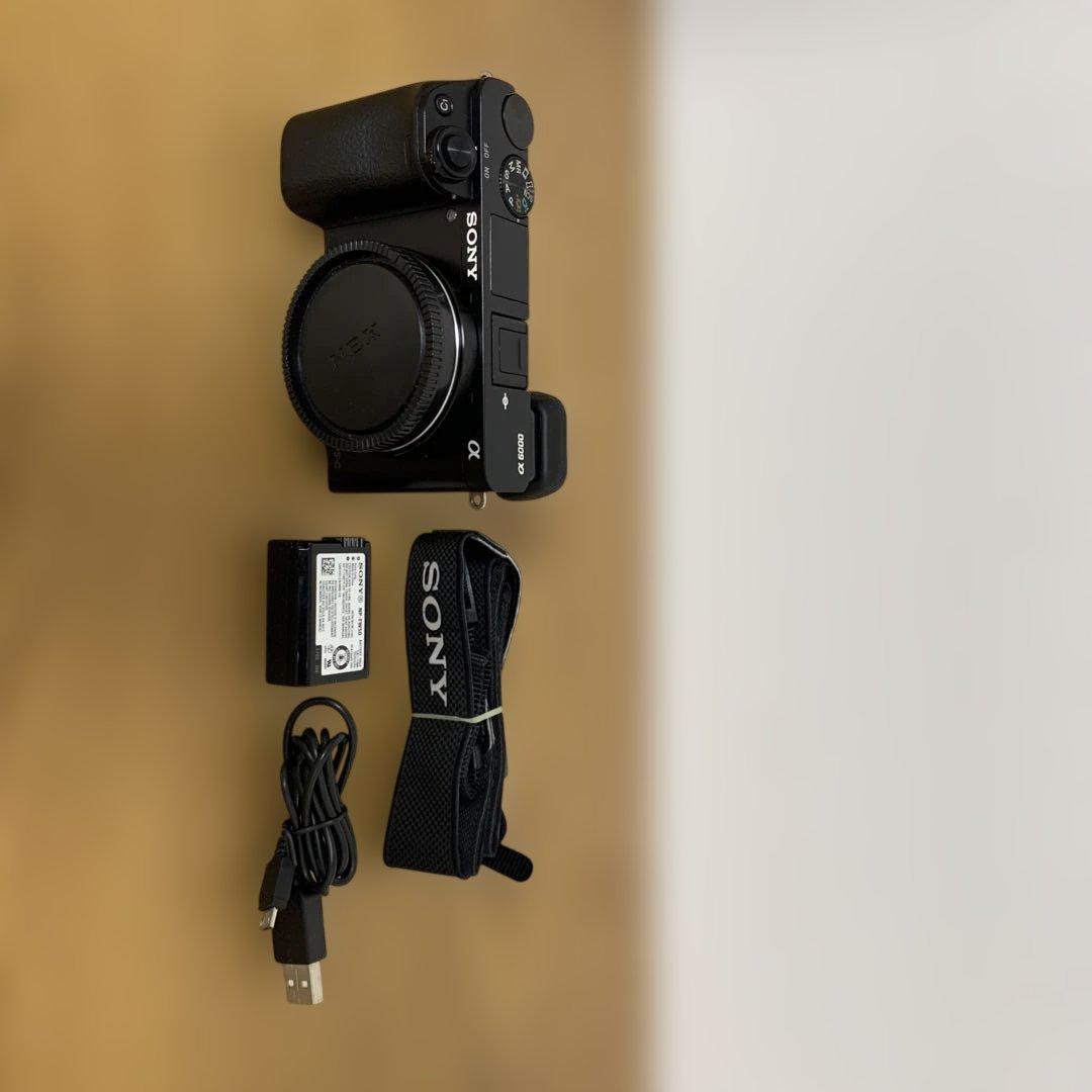 Sony α6000 ボディ SONY α6000 ILCE-6000 ボディ 価格比較 - 価格.com