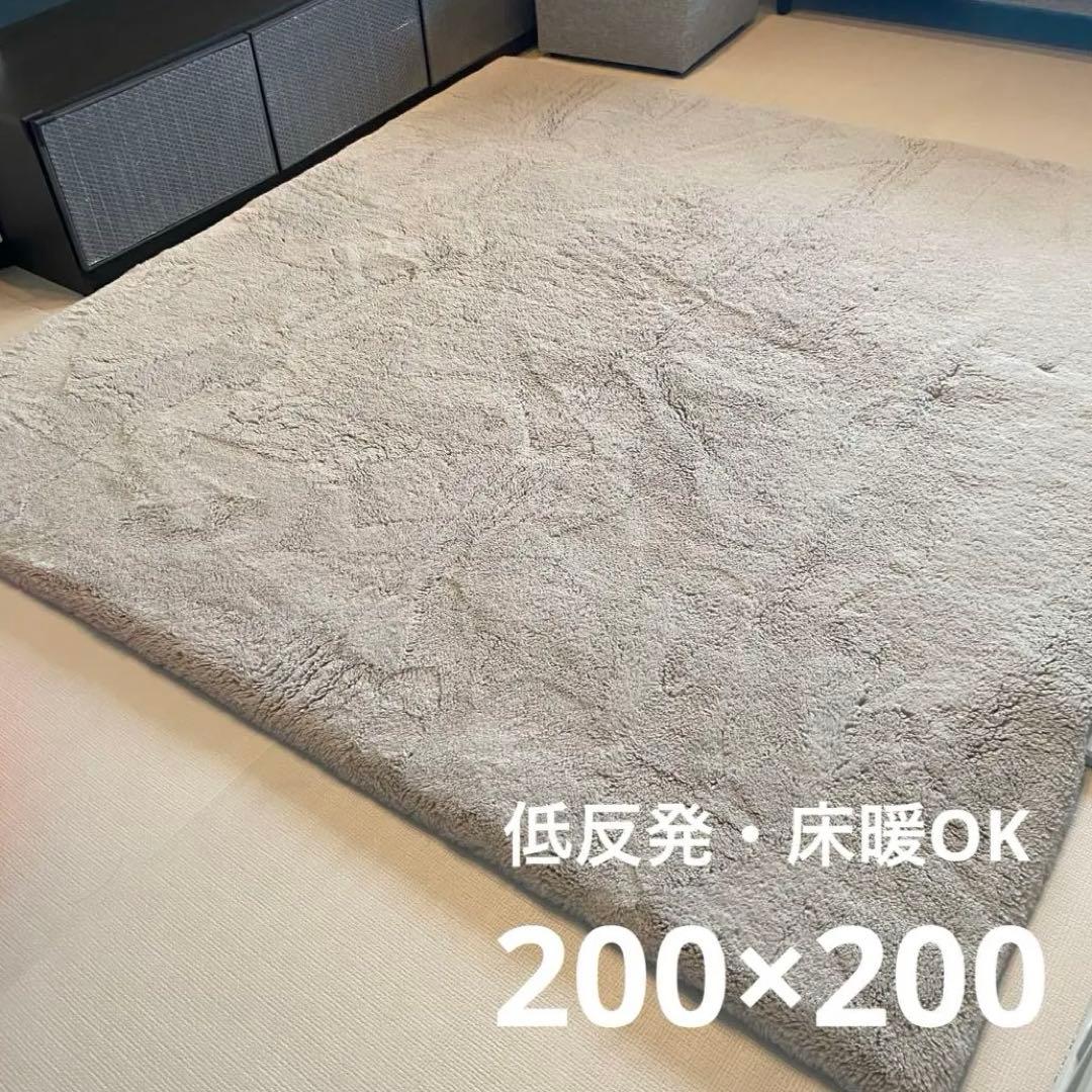 Francfranc 低反発 ミーティス ラグ L ライトグレー 正方形 ミーティス ラグ M ライトグレー 2000×1400 | Francfranc（フラン