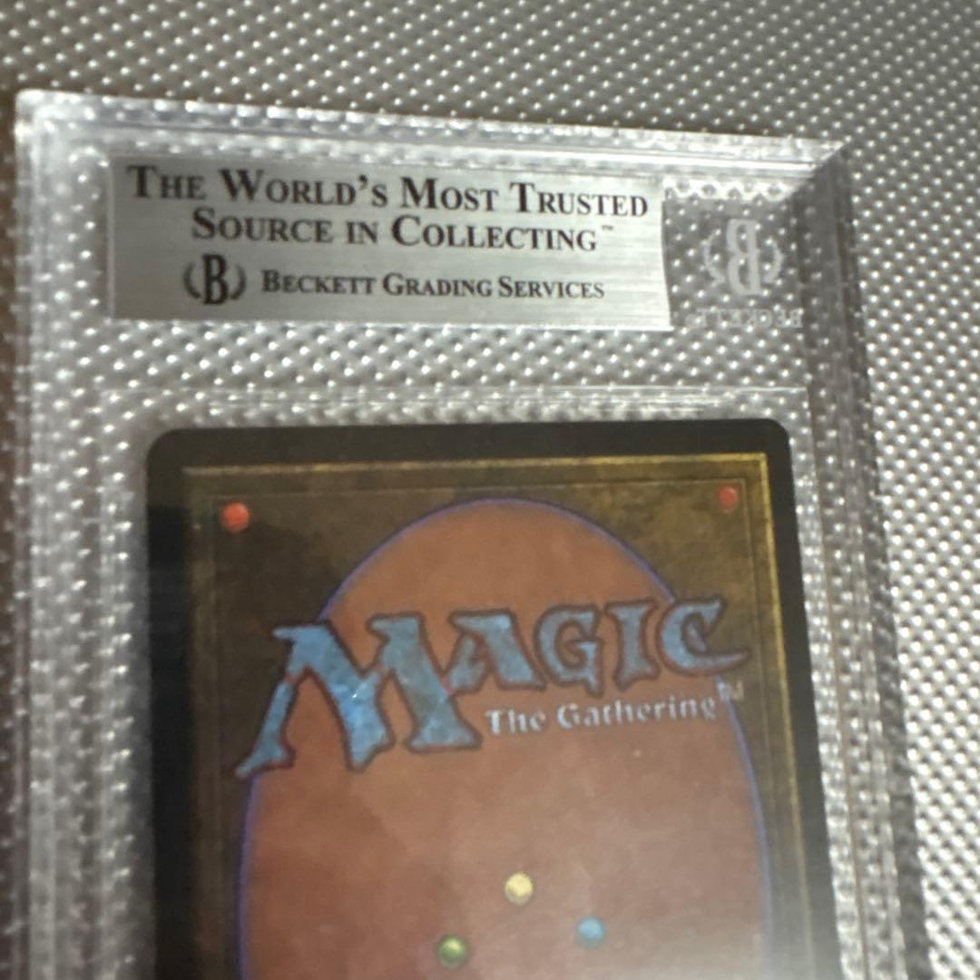 鑑定品】tropical island トロピカルアイランド リバイズド