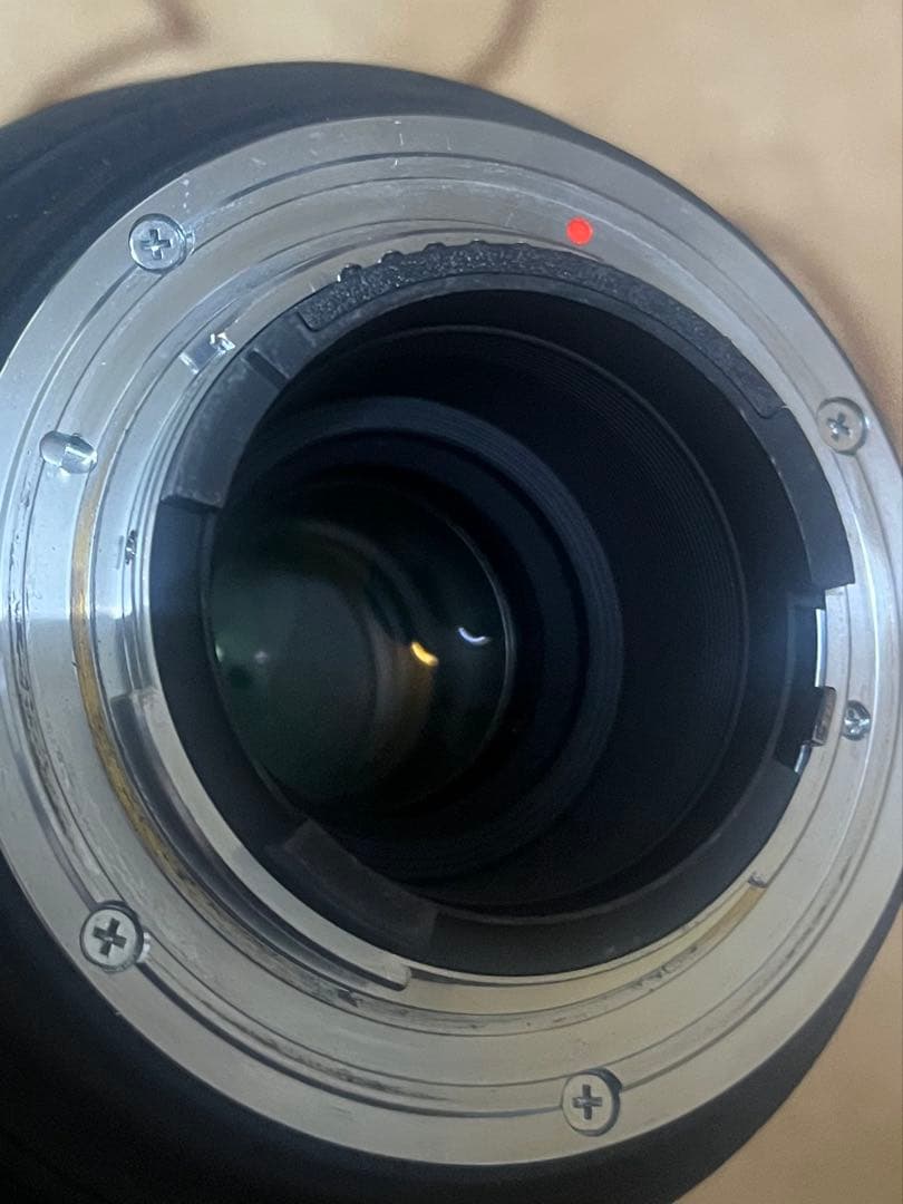 SIGMA 120-400mm F4.5-5.6 Nikon Fマウント