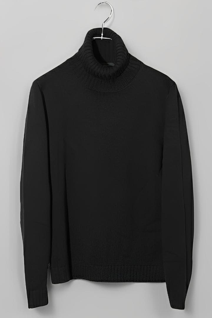 ZANONE ザノーネ 5ゲージ ウールソリッド タートルネック ニット 48 ZANONE - 5ゲージ ウール ソリッド タートルネック ニット / Z1375