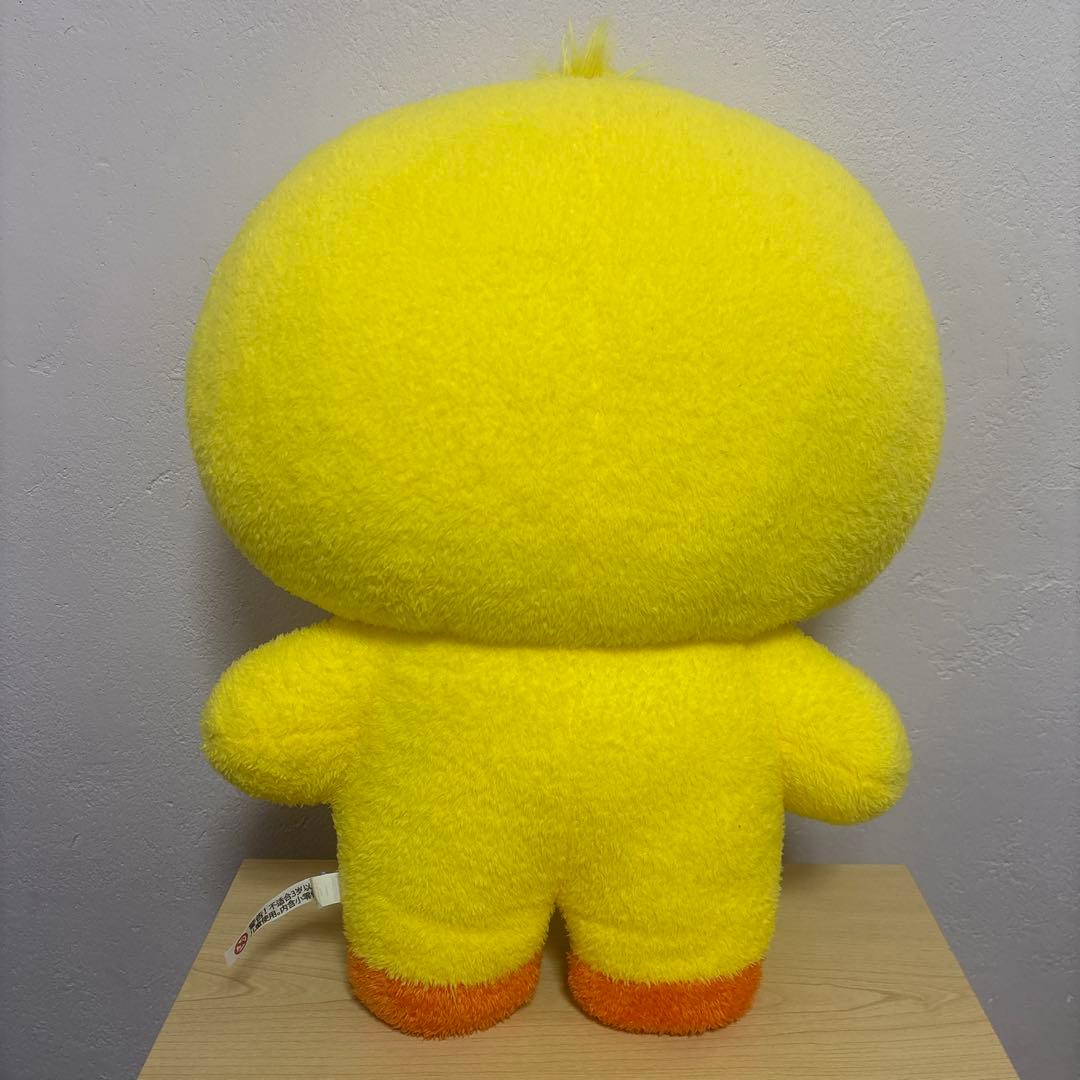 zeroni フラットぬいぐるみtaenini テニニ zb1 キムテレ - メルカリ