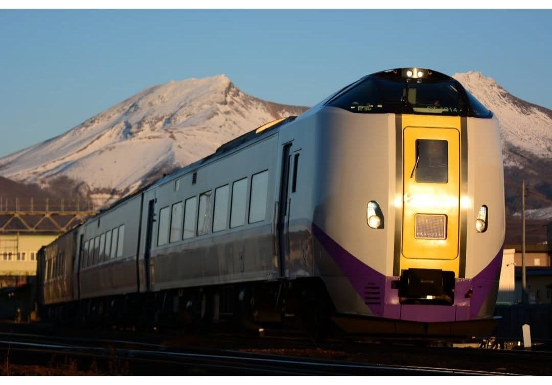 レンズ(ズーム) SIGMA APO 50-500 F4.5-6.3 DG OS HSM F