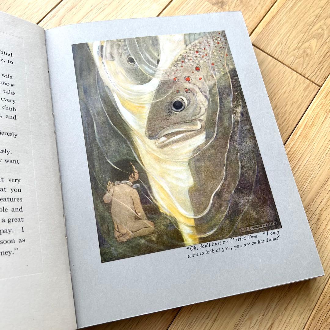 The Water-Babies⠀ジェシー・ウィルコックス・スミス アンティーク