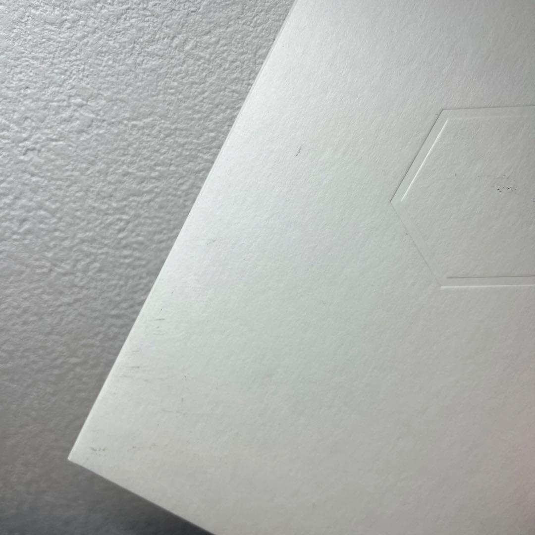 女王蜂 白兵戦 DVD