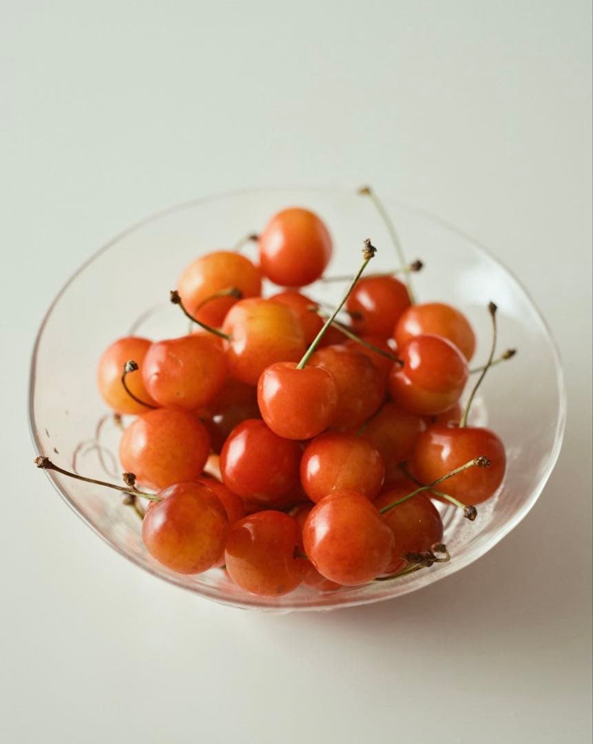 ペンタックス Pentax 67 Macro 100mm GFX 濱田英明 F4 - メルカリ