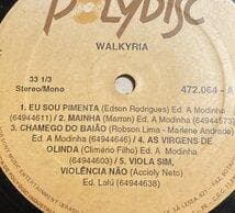 BRA盤92年頃？ほぼ美盤！Nordesteのレア盤！Walkyria/Same