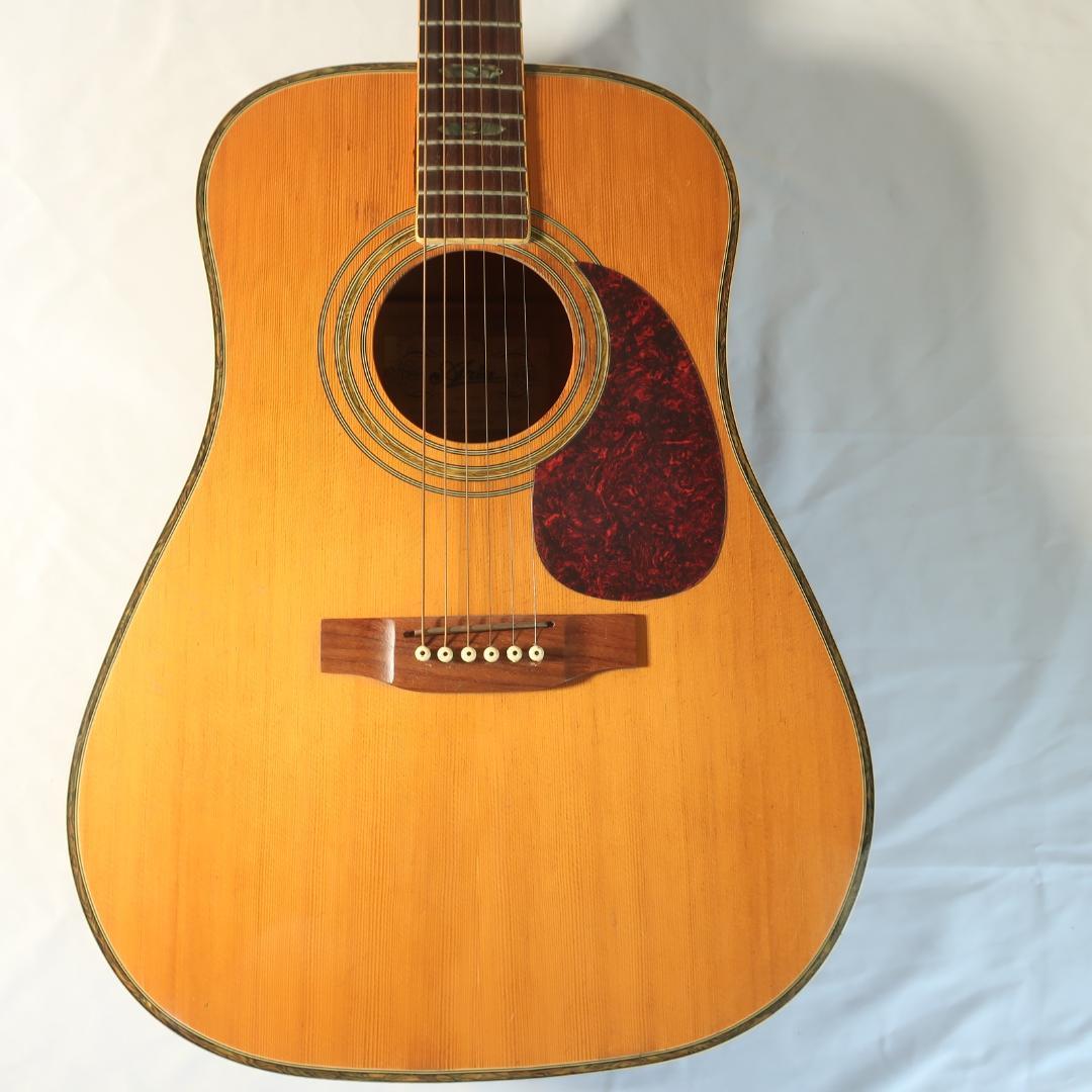 ARIA ADW-300 アコースティックギター 装飾インレイ - メルカリ