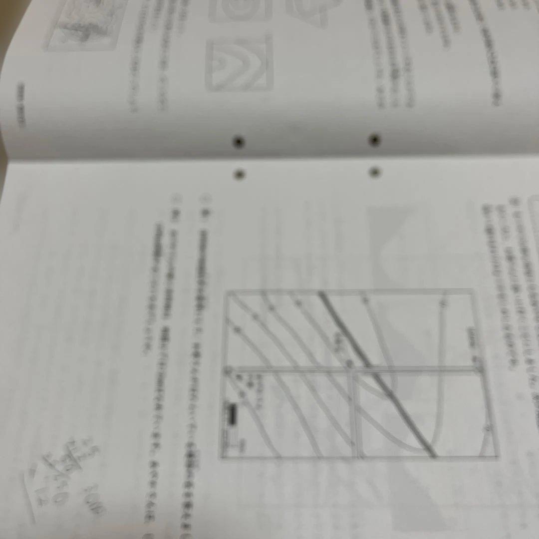 2025年 日能研 4年 ステージⅡ育成テスト➁ - メルカリ