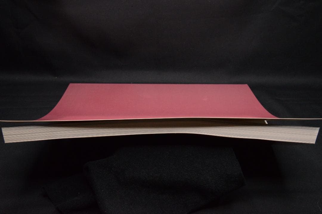 【a girl hysteric no.11】 沢渡朔　★★大幅に値下げしました