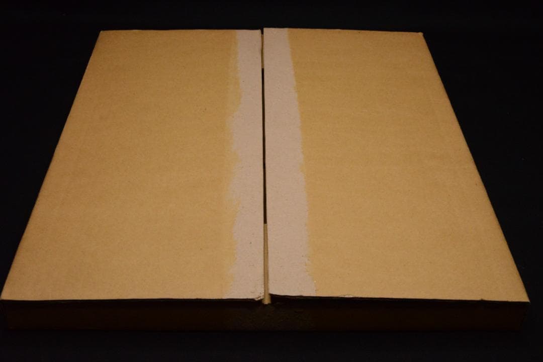 【a girl hysteric no.11】 沢渡朔　★★大幅に値下げしました