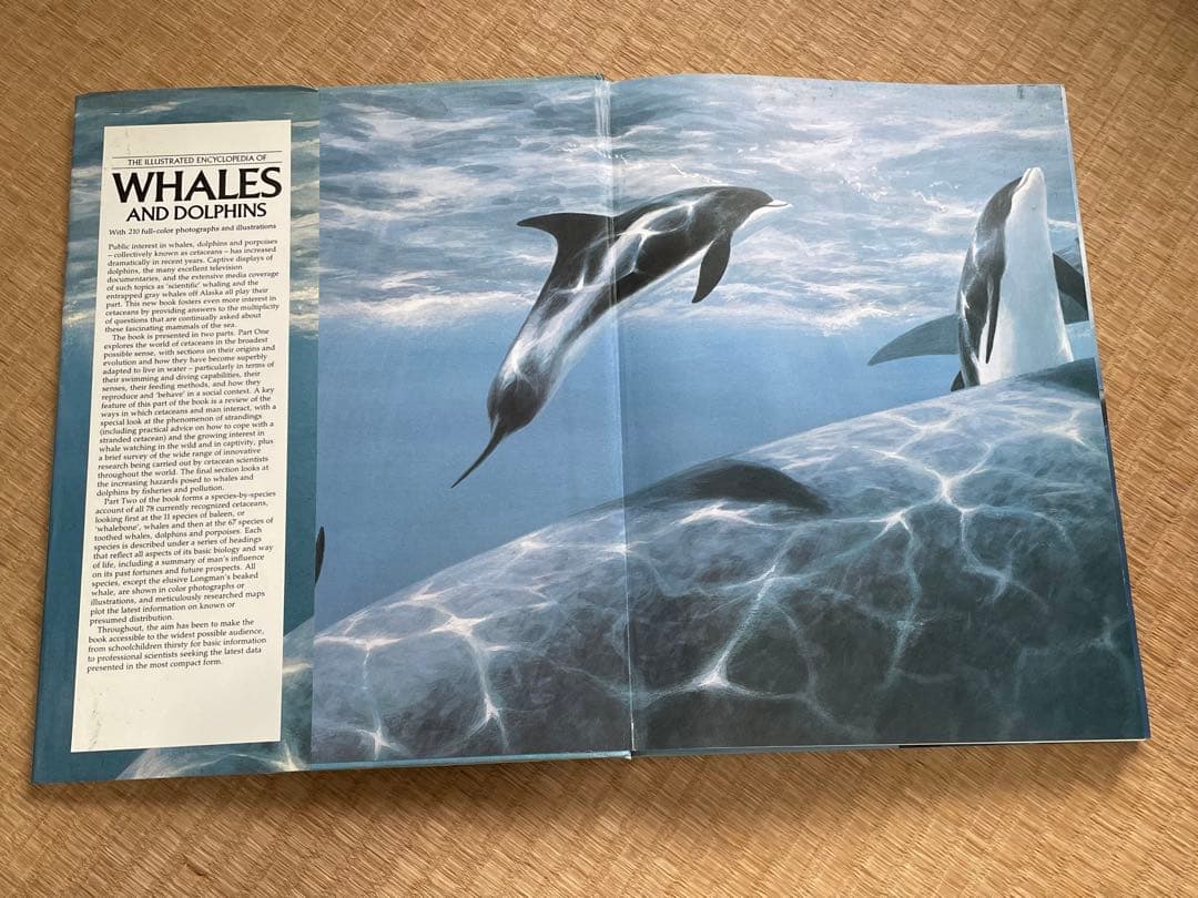 洋書 貴重！クジラとイルカに関する図鑑 アンソニー・R・マーティン