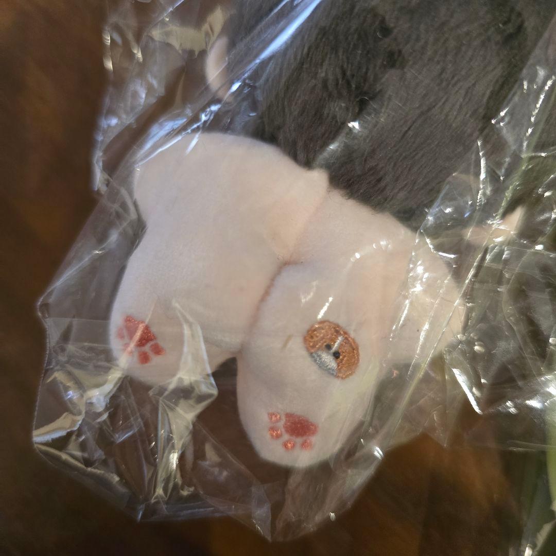 シャオジュン ぬいぐるみ トレカケース ポーチ WayV 威神V NCT - メルカリ