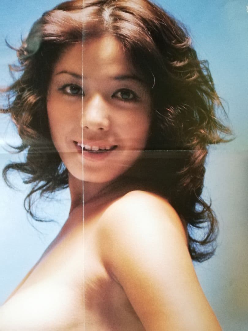 限定版/鏡の中の野心 DVD ひし美ゆり子　☆大判ポスターおまけ付き