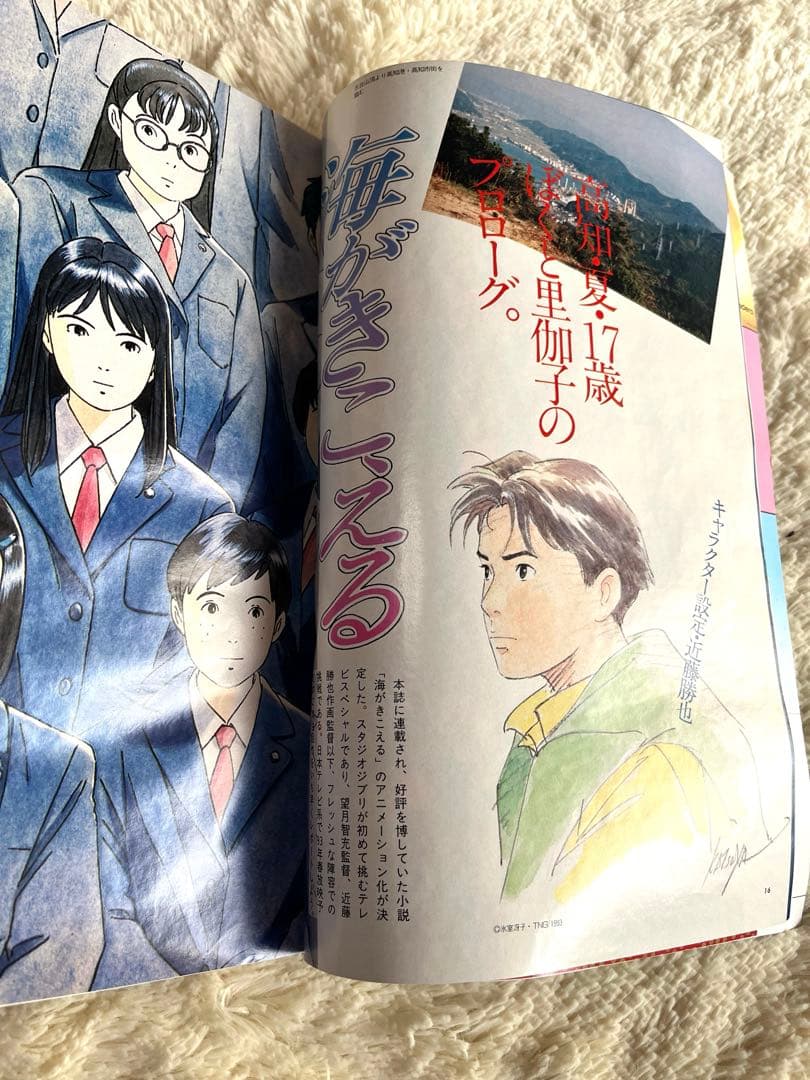 アニメージュ 1993年1月 VOL.175 海がきこえる ジブリ セラームーン