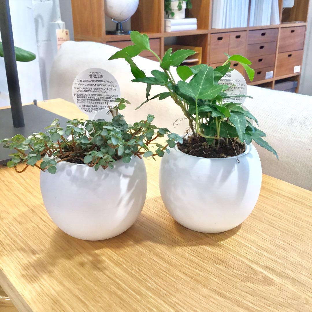無印良品】植木鉢カバー プランターカバー 白 1つ - メルカリ