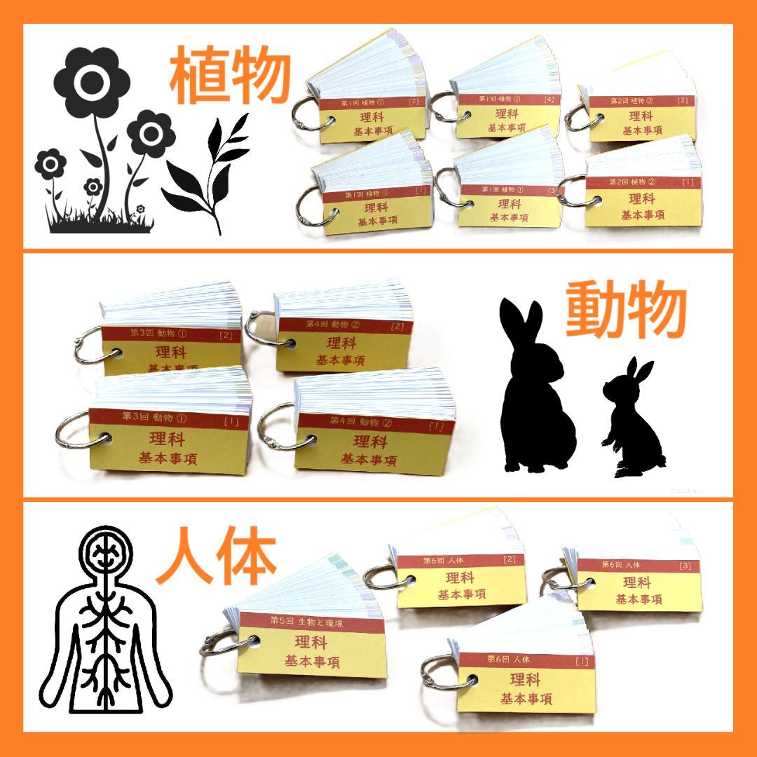 Beginner様専用】理科の基本事項/サーパス 国語3点セット 暗記カード