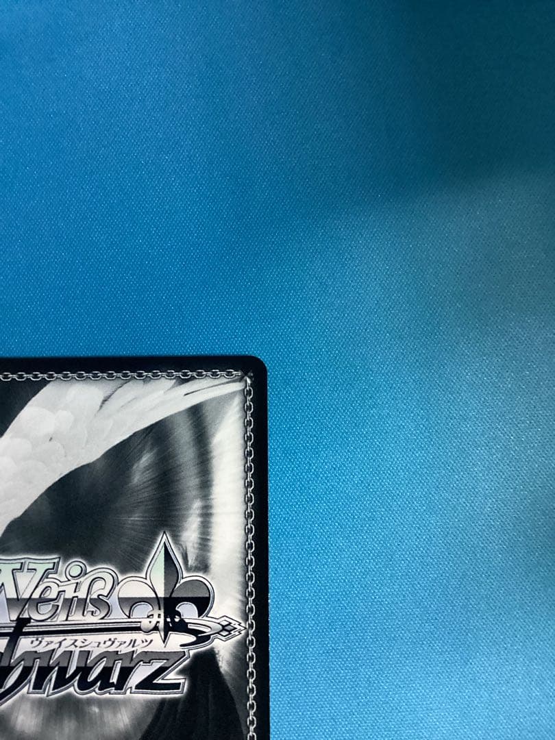 WS 気になっちゃう背中 SEC