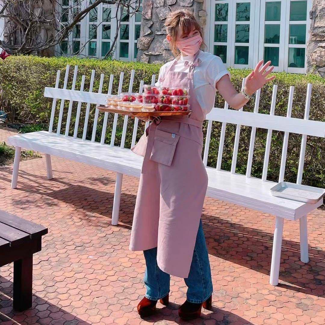 専用】reizouまとめ買い フォロー割引有り。様 紗栄子エプロンくすみ