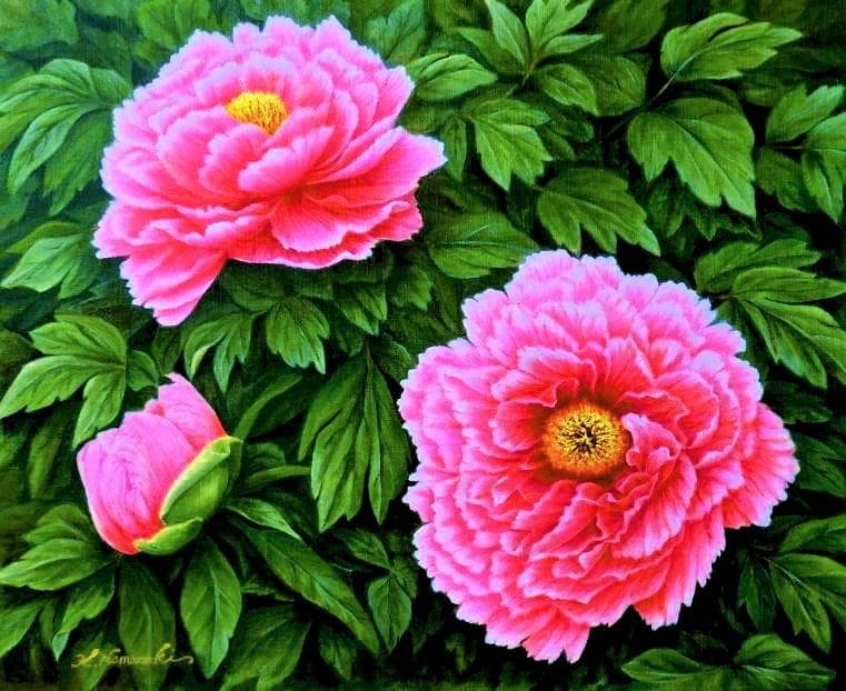 牡丹」絵画 油彩画 油絵 植物画F12号 原画