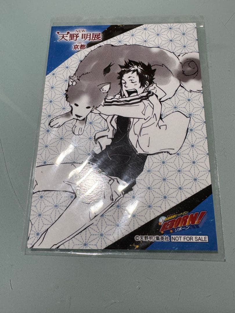 天野明展 京都 特典 山本武 Amazon.co.jp: 天野明展 家庭教師のヒットマンREBORN! 山本武 山本