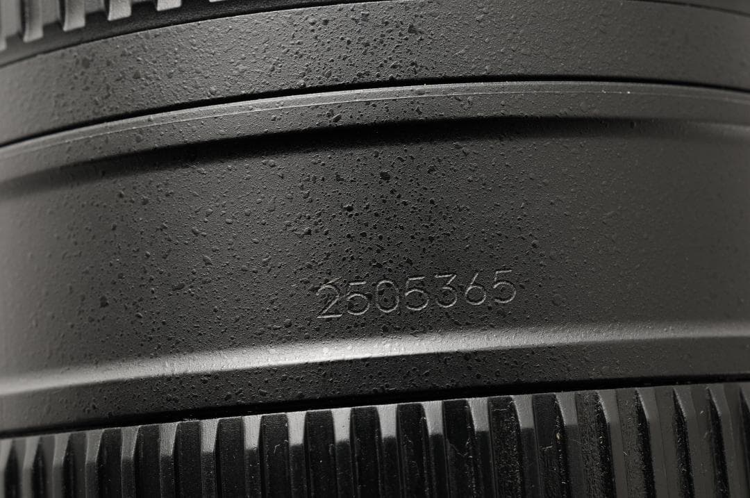 レンズ(単焦点) NIKON AF-S NIKKOR 18-200mm F3.5-5.6#1166