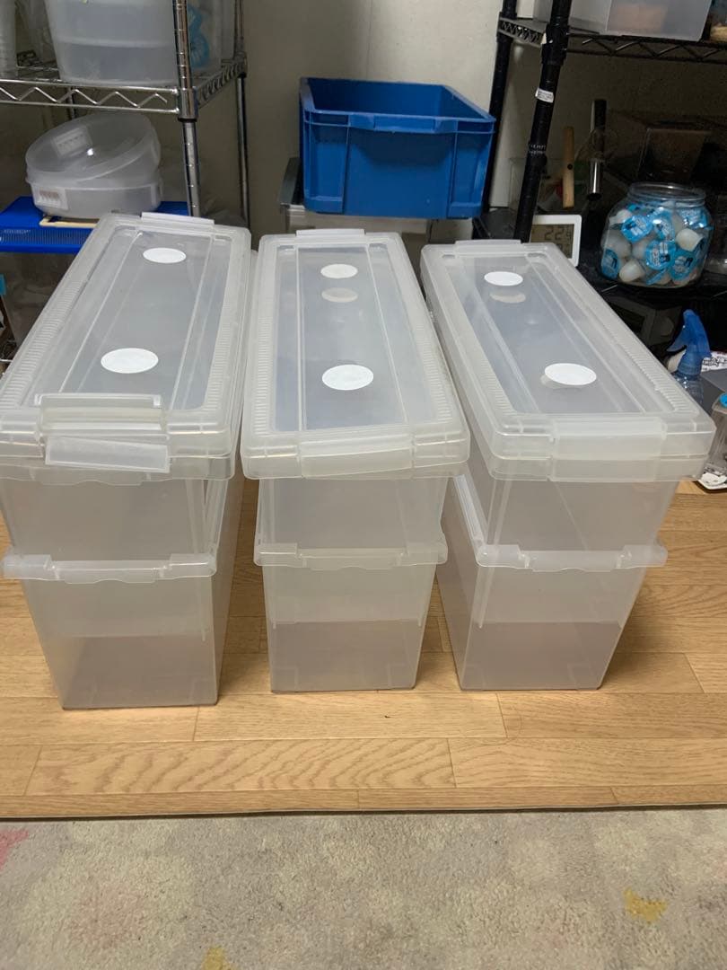 ヘラクレス幼虫飼育ケース いれと庫(文庫本)使用品6ケースセット