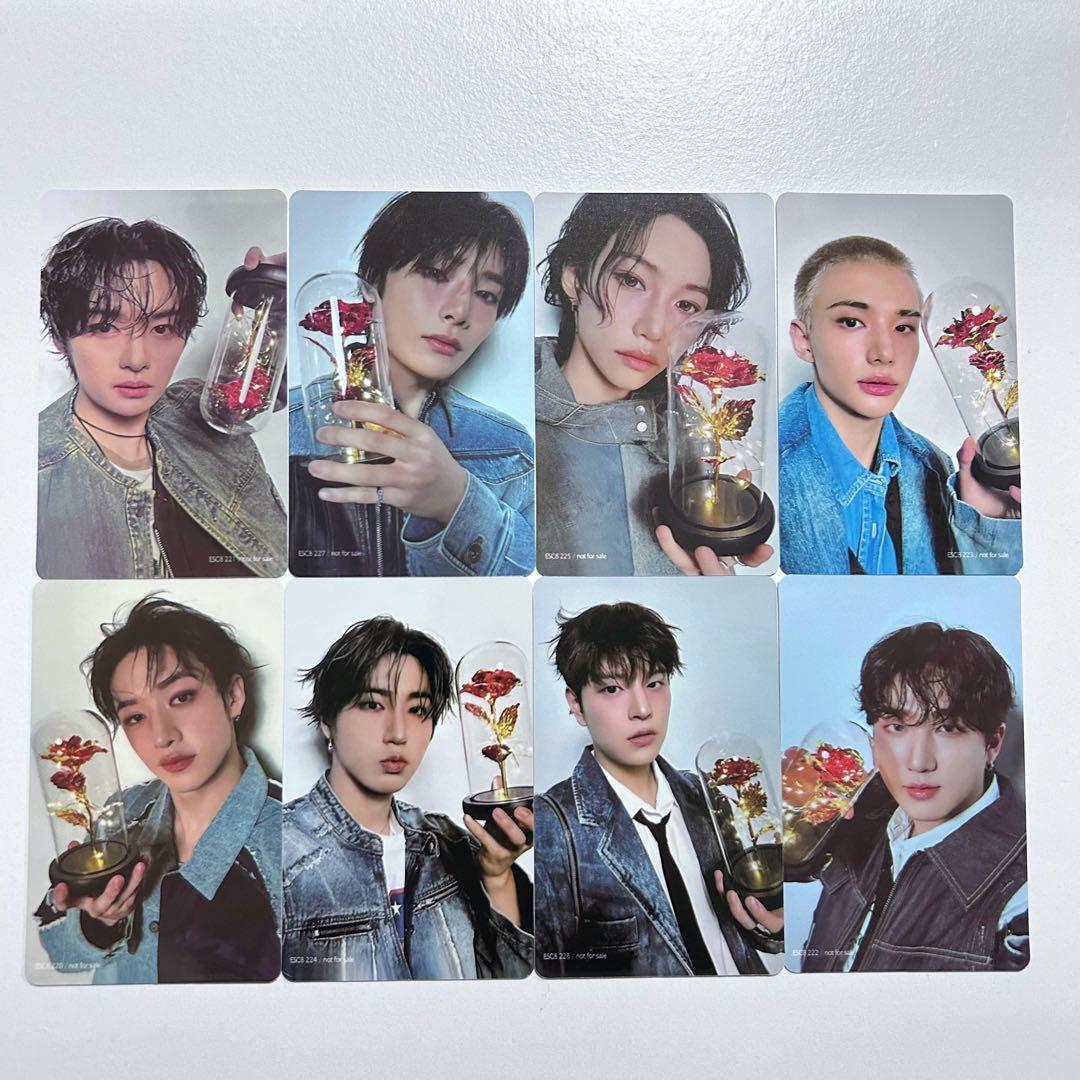 残り1点】straykids HOLLOW 限定 トレカ 8種セット コンプ - メルカリ