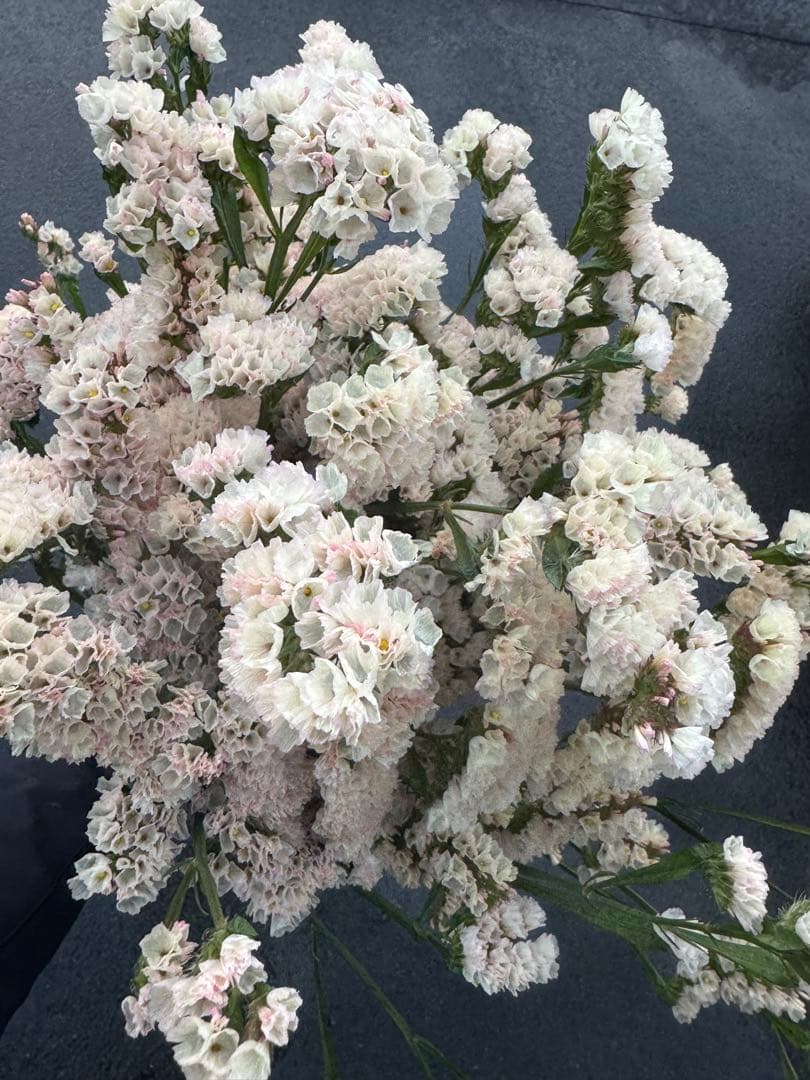 aya様 リクエスト 4点 まとめ商品