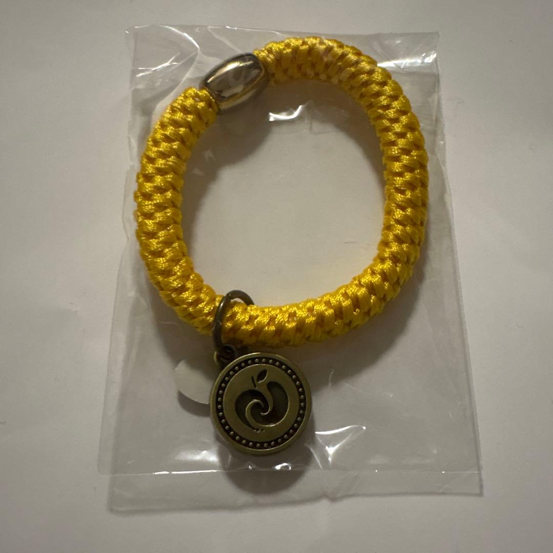 ミセスグリーンアップルバベルの塔黄色いナイロンブレスレット メダル