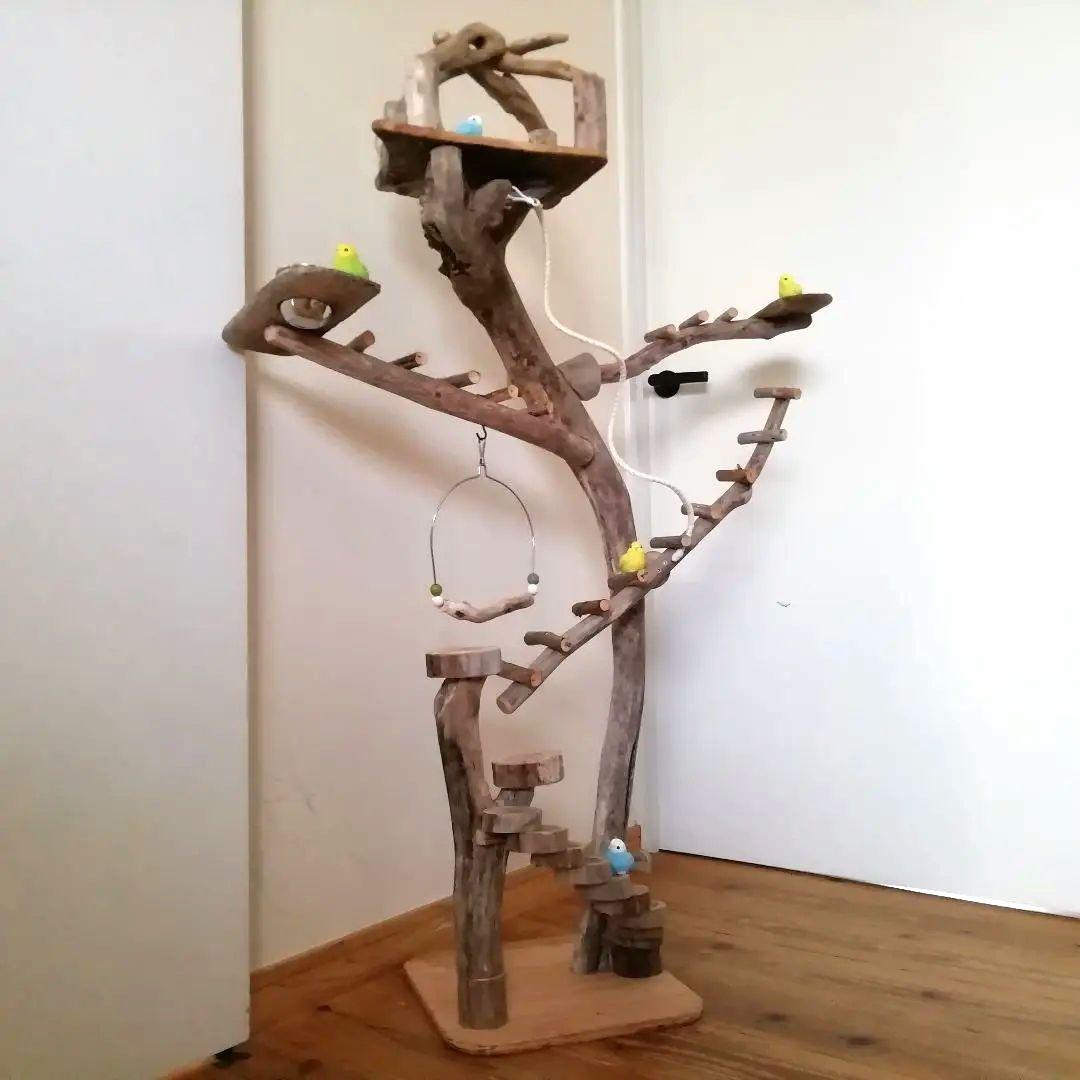 バードアスレチックジム㉚ 天然木 自然木 流木 止まり木 インコ遊び場