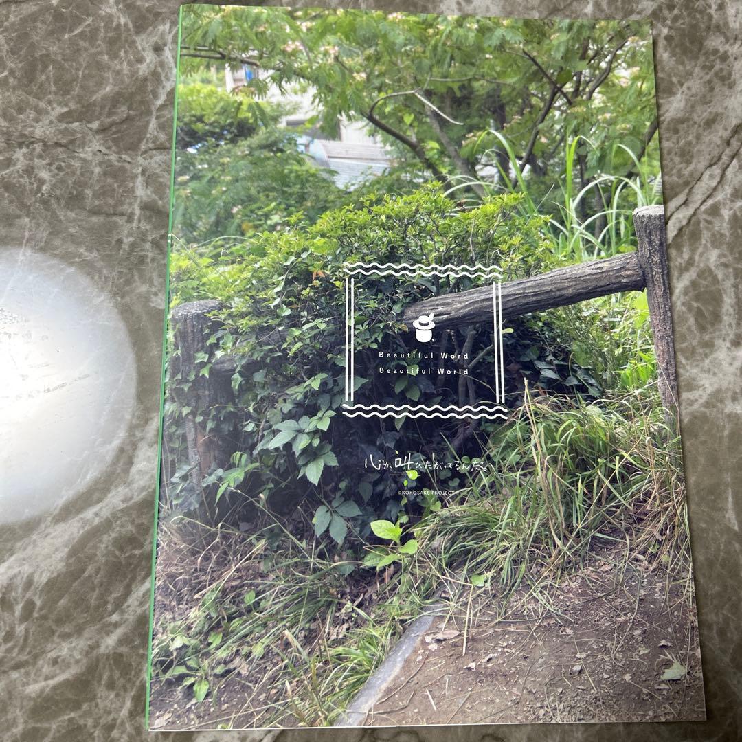 Beautiful Word Beautiful World 水瀬いのり写真集 - メルカリ
