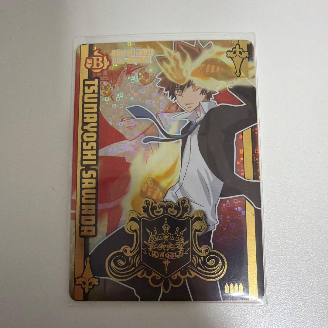 沢田綱吉 ツナ サザンクロスバトル 家庭教師ヒットマンリボーン - メルカリ