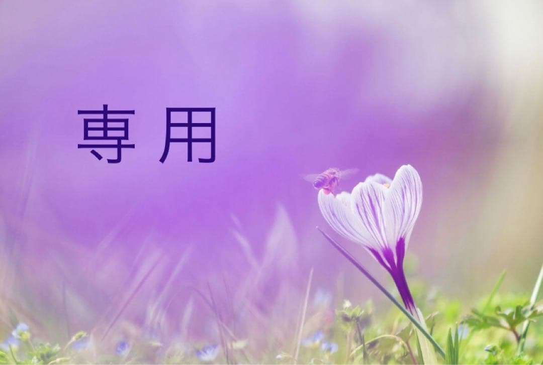 【まり】 新製品情報】Ninja ZX-6R (24)スポーツコンバートマフラーIKAZUCHI