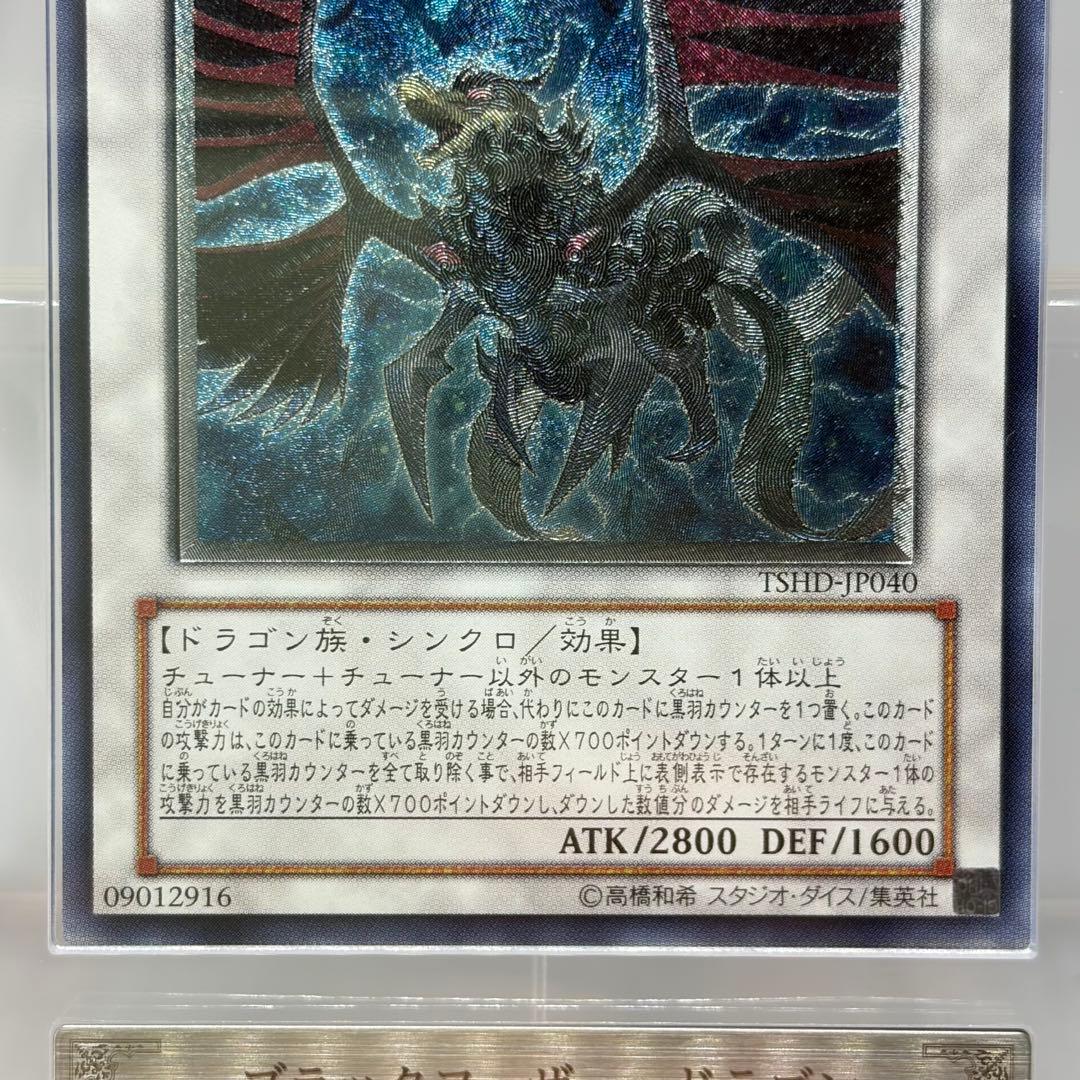 みき様 【ARS10】 ブラックフェザードラゴン レリーフ - メルカリ