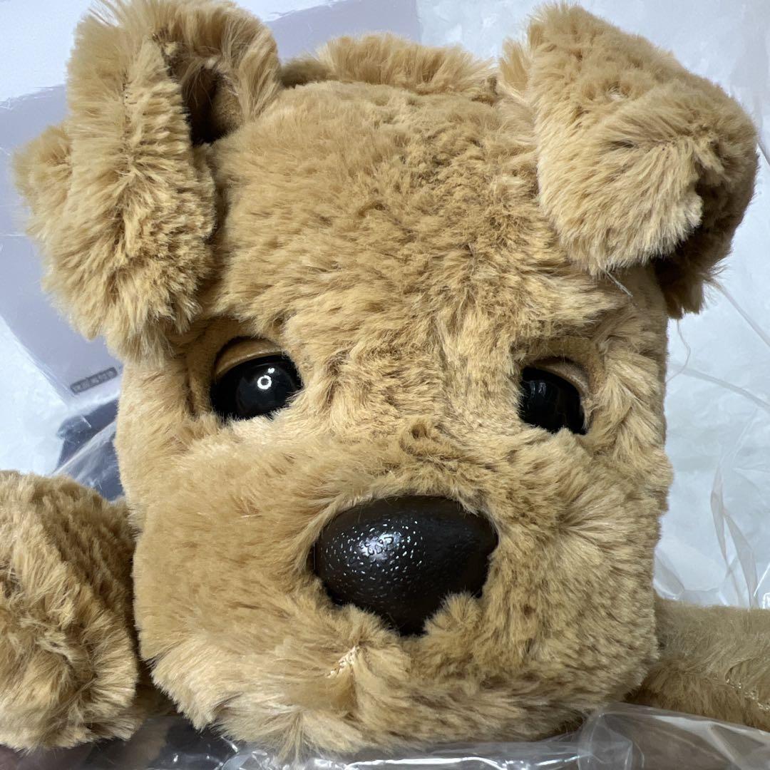 未使用】おしゃべりダッキー ダッキースター コミュニケーショントイ