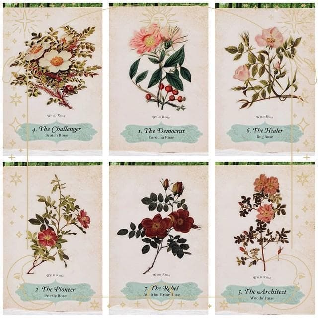 正規品オラクルカード】エレガントローズ色✨美しいヴィンテージ