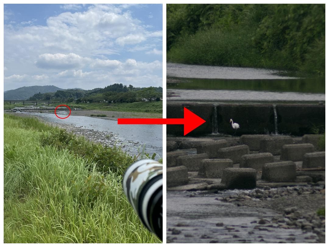 Lightdow 望遠 ズーム レンズ 420-800mm F/8.3-16