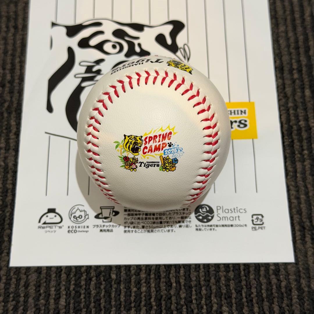 阪神タイガース 立石正広 直筆サインボール 沖縄キャンプロゴボール