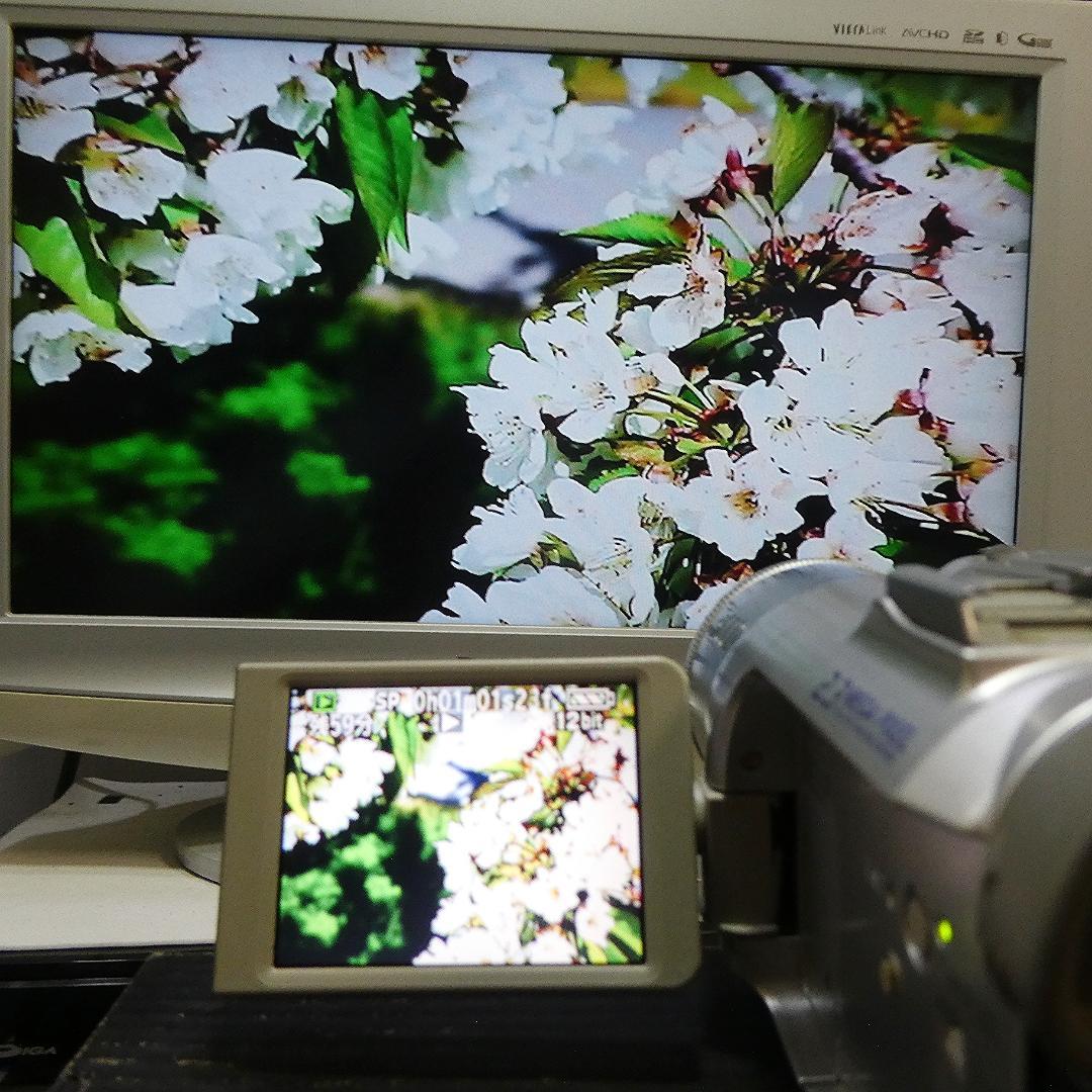 美品・動作良好 パナソニックNV-GS150 MiniDVビデオ　DVD化に最適