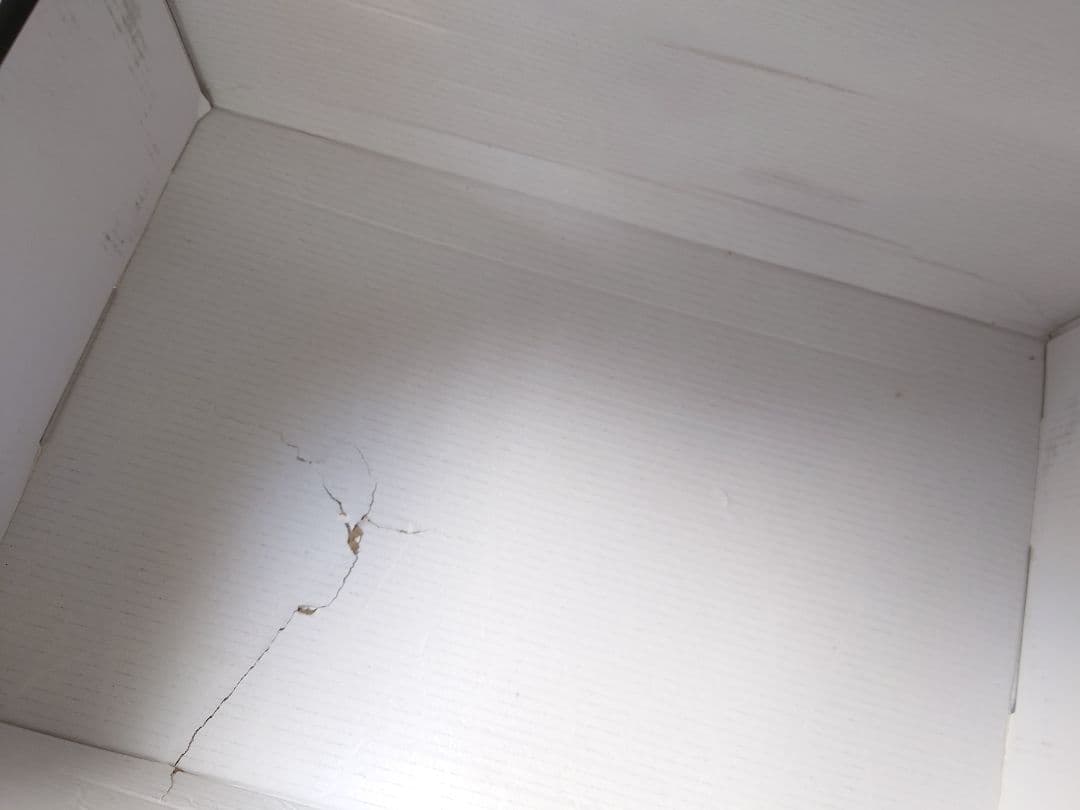 HUWAHUWA社 シリコンバスト　未使用