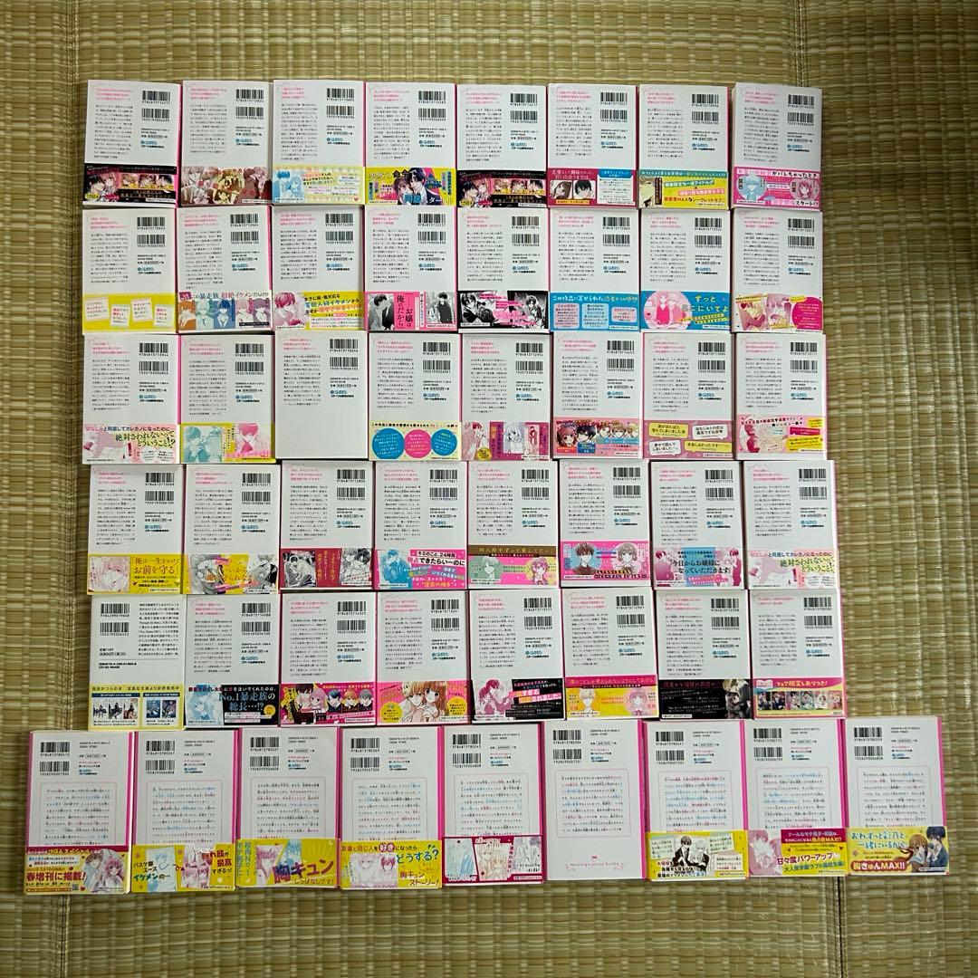 即発送】美品 野いちごジュニア文庫 他 49冊セット - メルカリ