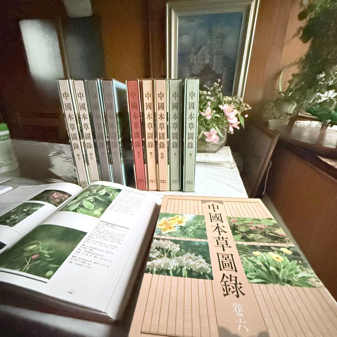 超限定1月13日20時迄‼️漢薬フルカラー『中國本草圖錄』10巻揃￼中国語